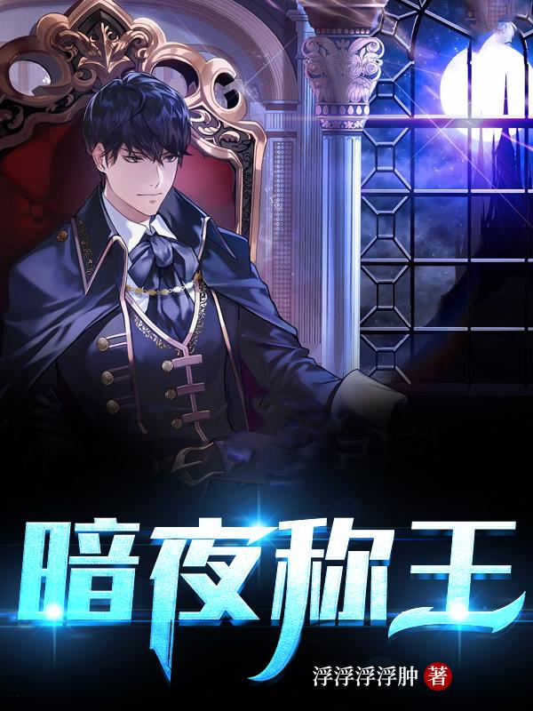 暗夜称王