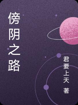 傍阴之路