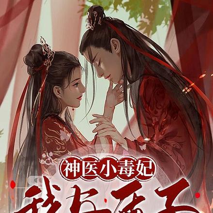 神医小毒妃，我与质子的爱恨情仇
