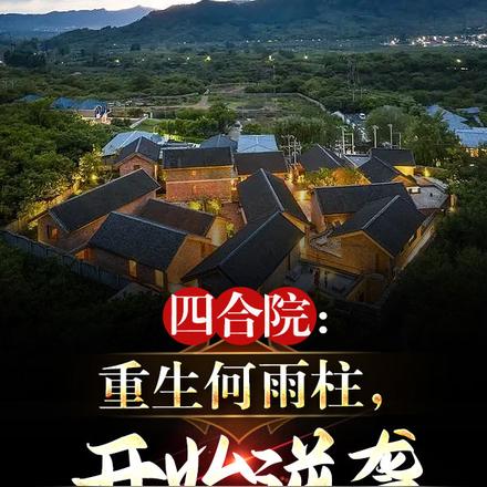 四合院：重生何雨柱，开始逆袭