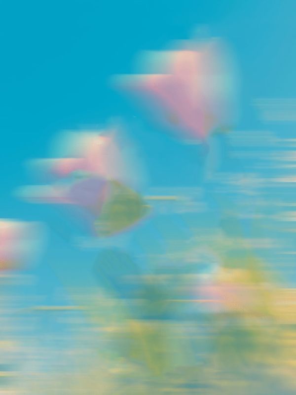 落花时节又逢君