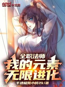 全职法师：我的元素无限进化
